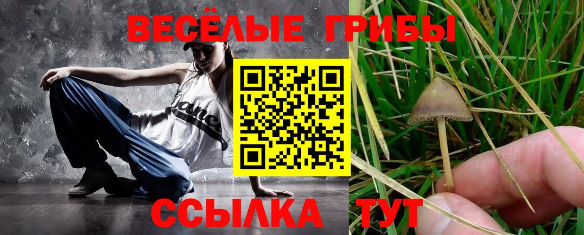 Галлюциногенные грибы Magic Shrooms Дедовск